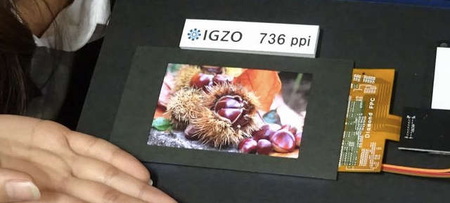 digital camera